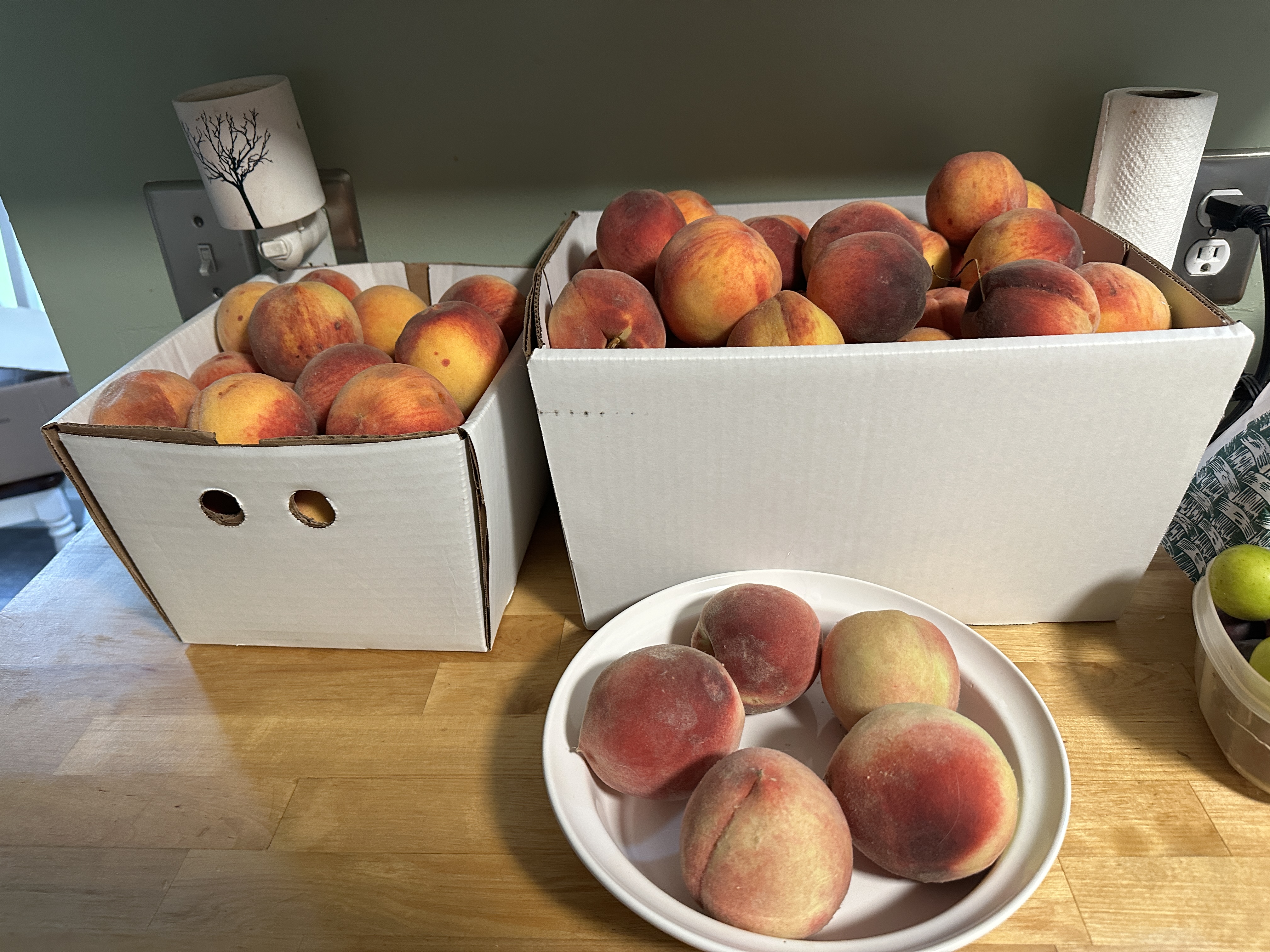 Fruit 25